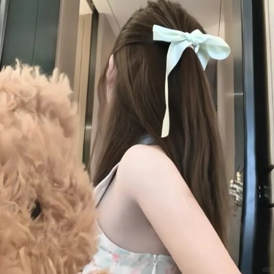冒牌总统