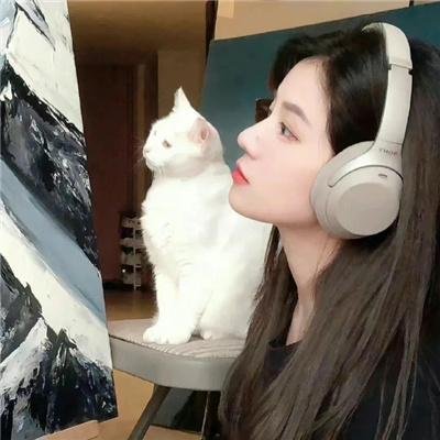 哪里出错了